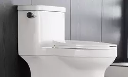 1 Woodbridge T0001 Dual Flush verlängerte einteilige Toilette