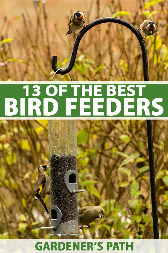 25 Best DIY Bird Feeders For All Kinds Of Yards And Gardens