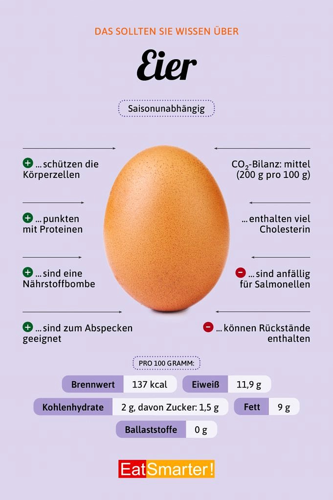 Burger Durch Eier Ersetzen Was Sollten Sie Verwenden?