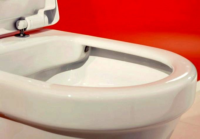 Für Welche Art Von Toilettenschüssel Sollten Sie Sich Entscheiden?
